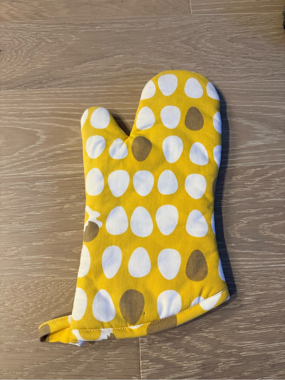 Single Oven Mitt